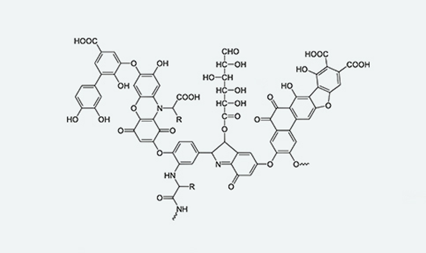 腐植酸行業(yè)為何呈現(xiàn)“小、亂、散”的局勢？原因之一為腐植酸檢測標(biāo)準(zhǔn)不足夠精確。